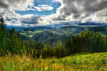 Summer liptov slovakia photo