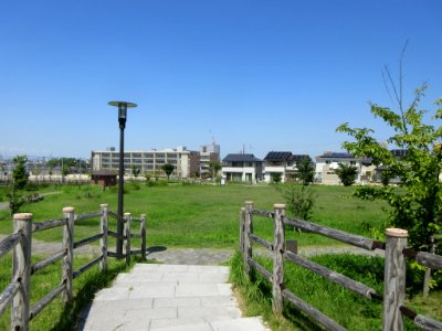Okazaki-Harusaki-Sakura-Park-1