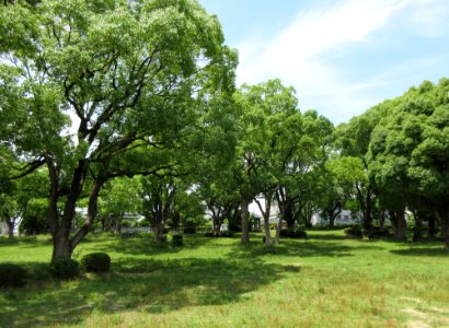 Okazaki-Iga-Park-1