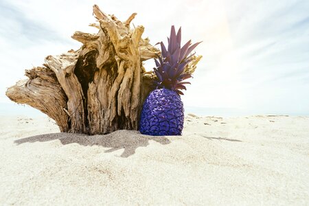 Outdoors pineapple sand