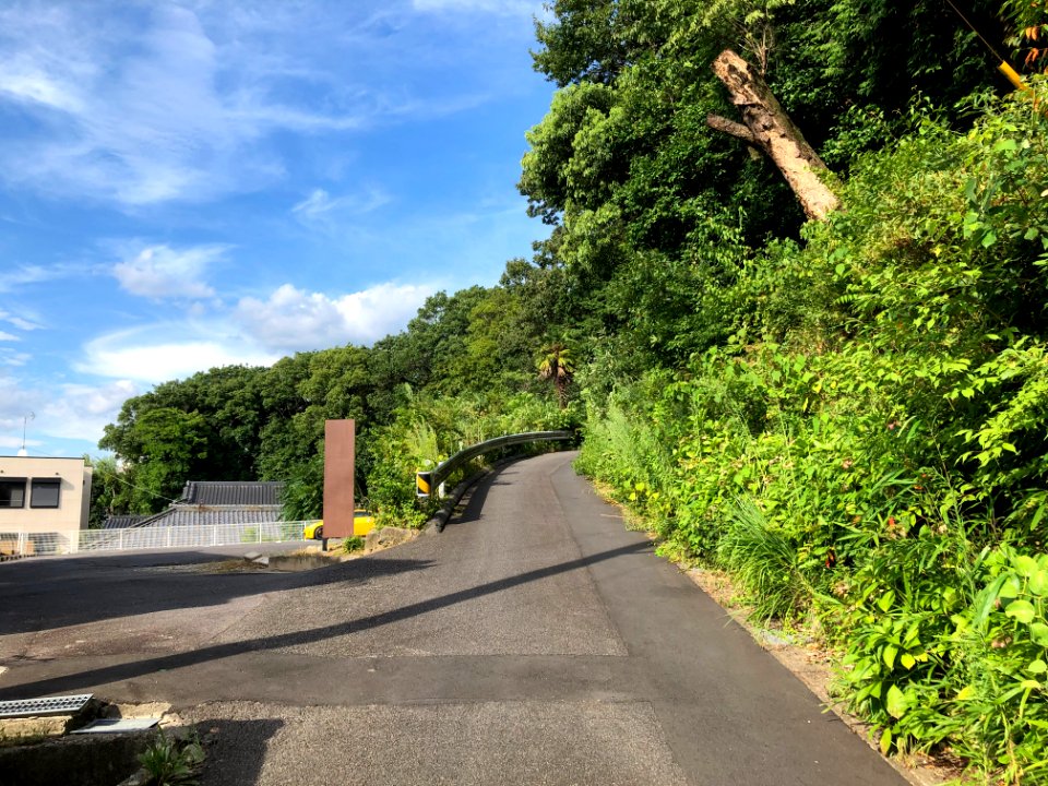 Okazaki-Igacho-1