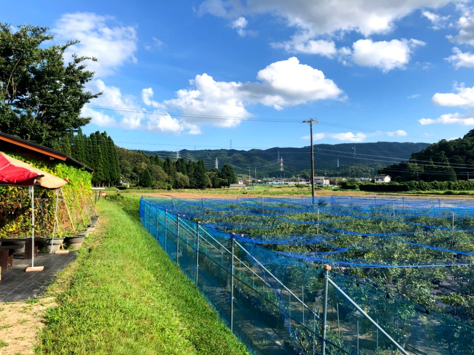 Okazaki-Kuwagaicho-1