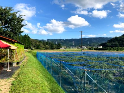 Okazaki-Kuwagaicho-1