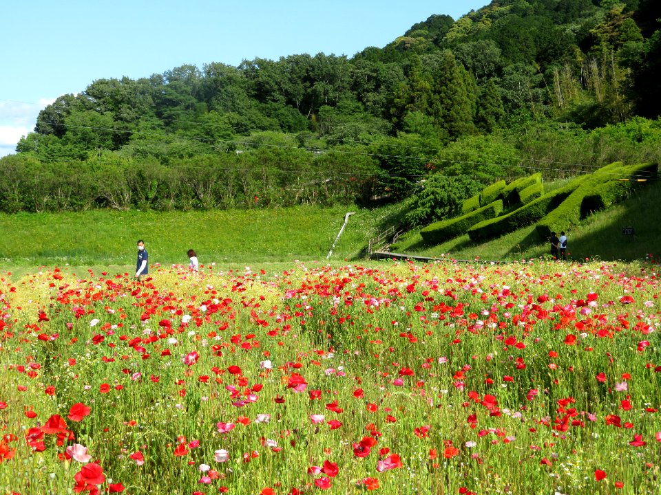 Okutono-Jinya-2