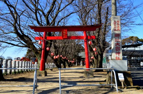 Okuni-jinja (Isesaki) torii