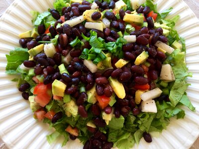 Plant-based vegan vegetarian