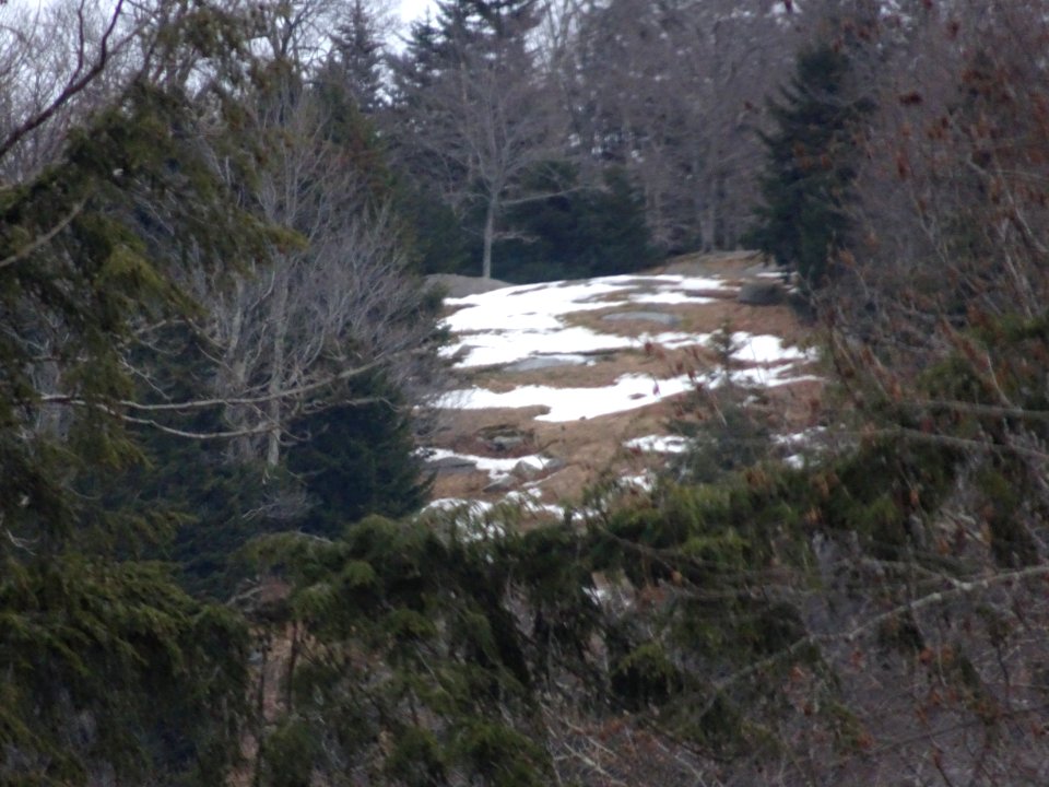 Old Forge March 1, 2018 McCauley Mountain