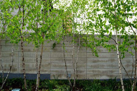 Ohio-Columbus-Columbus Museum of Art-2017-04-23-015