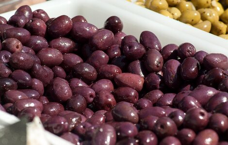 Olive trees mediterranean purple olives