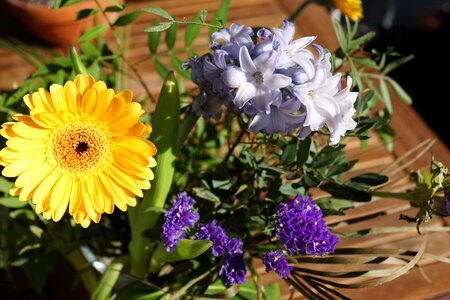 Yellow congratulations colorful