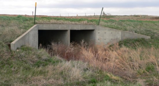 Old Maids Fork culvert, Avenue P, Rush County, Kansas