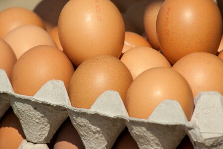 Eggs market hens