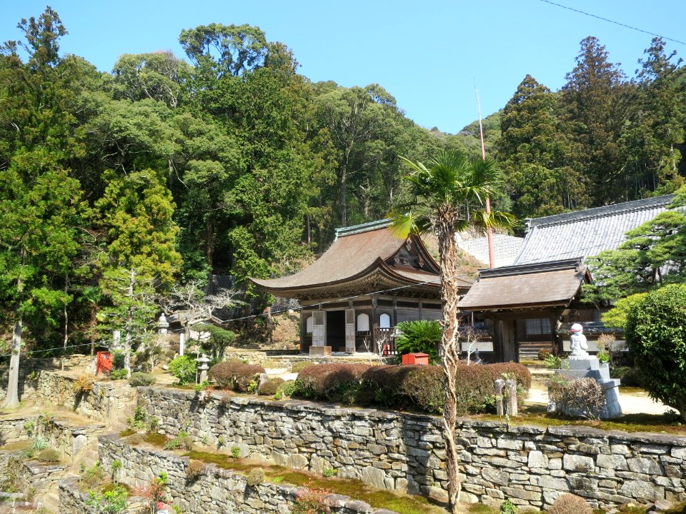 Okazaki-Tenonji-1