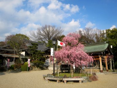 Okazaki-Tenmangu-3