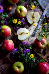 Still life apple orchard apple
