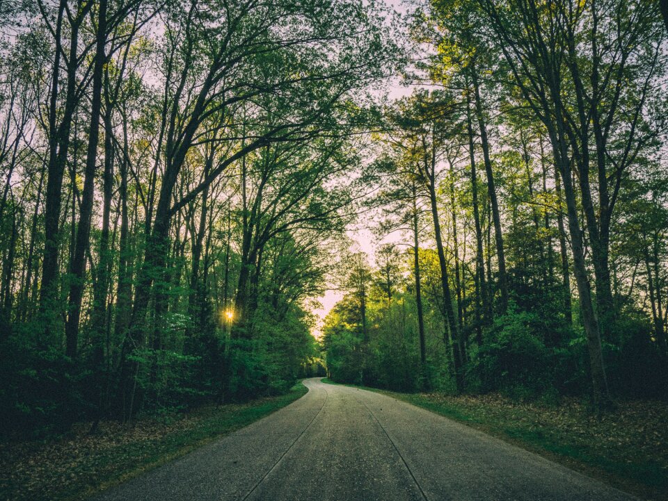 Grass landscape road