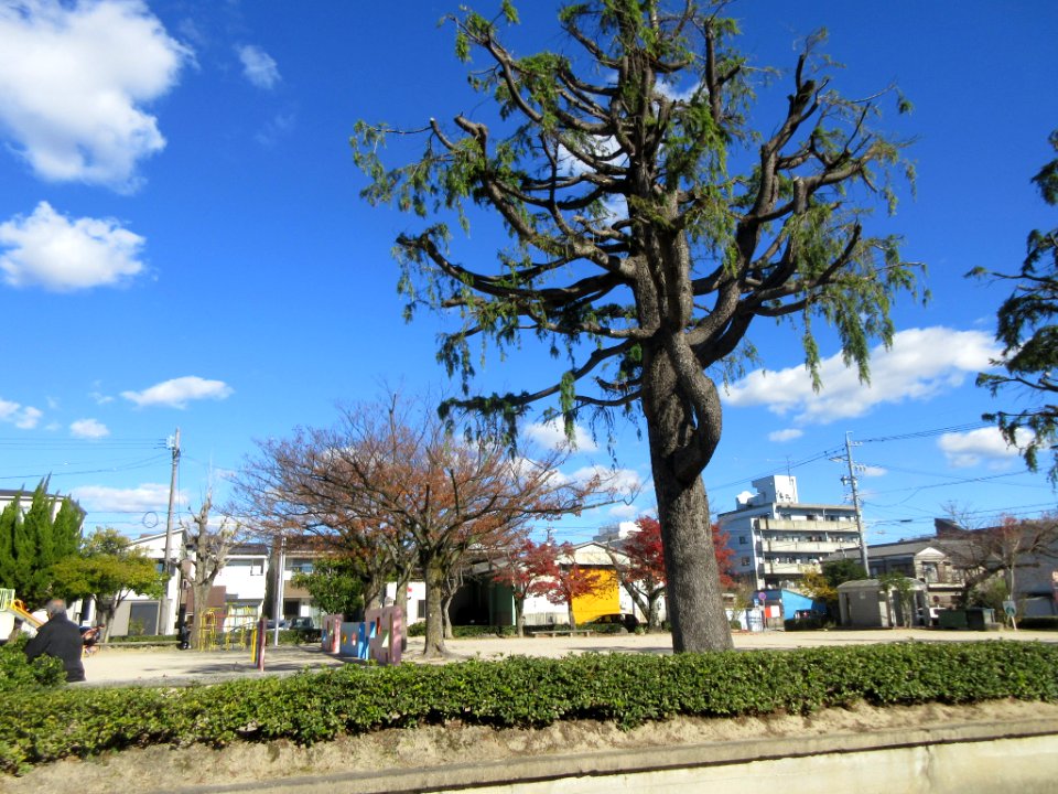 Okazaki-Wakamiya-Park-1