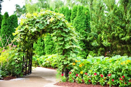 Entrance garden green