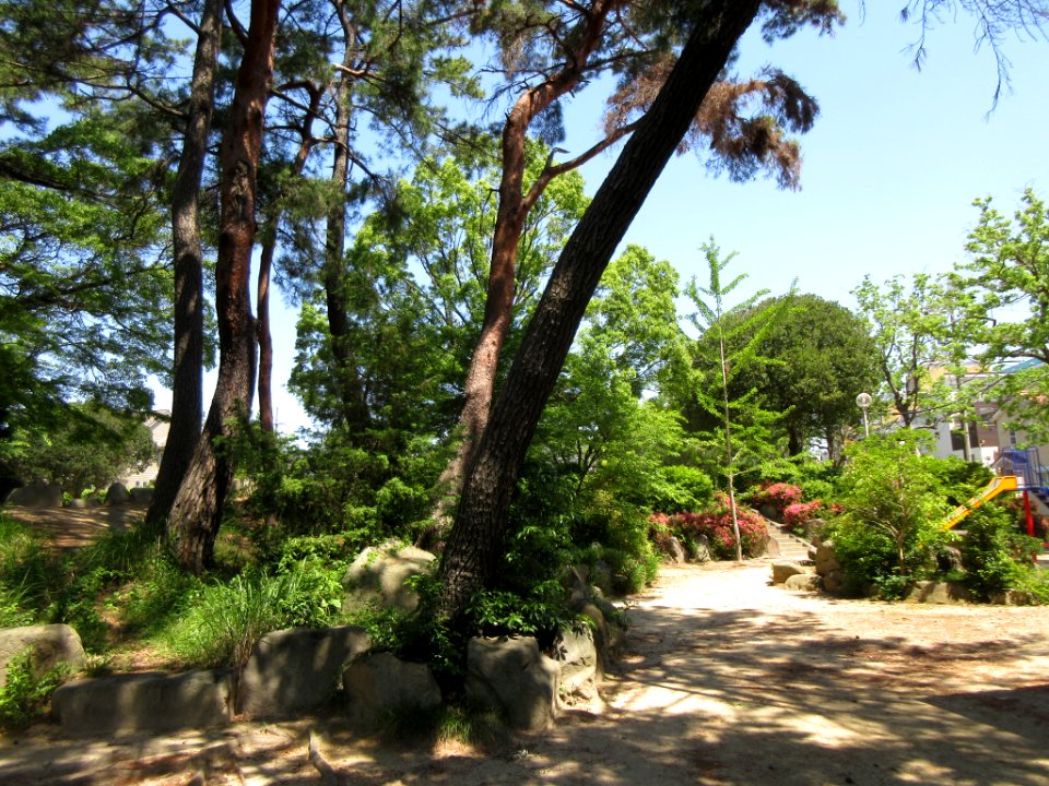 Okazaki-Wakamatsu-Park-1