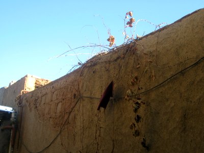 Old house in Haj Mehdi Kuycheh (alley) - Nishapur 19