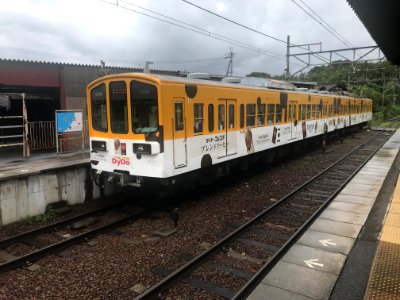 Ohmi 1802 Musa 20190830