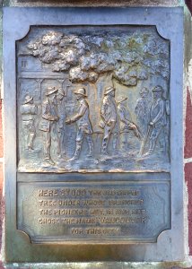 Old Maple Tree plaque - Vancouver, Canada - DSC00017