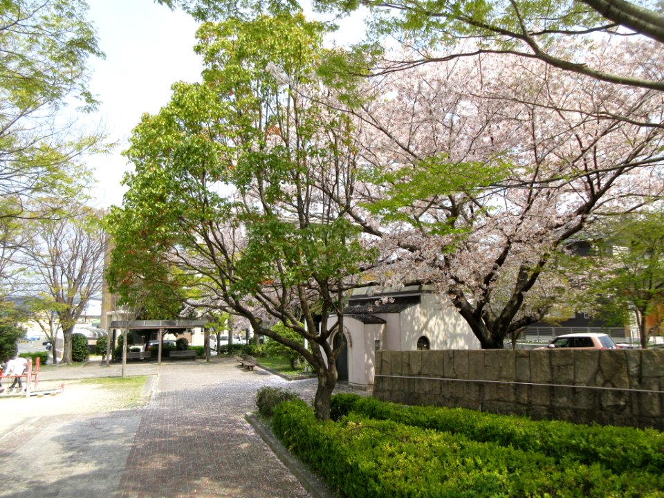 OKazaki-Aoi-Park-1