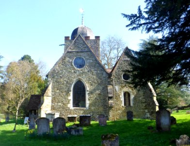 Old St Peter and St Paul's Church, Albury Park, Albury (March 2014, from West)