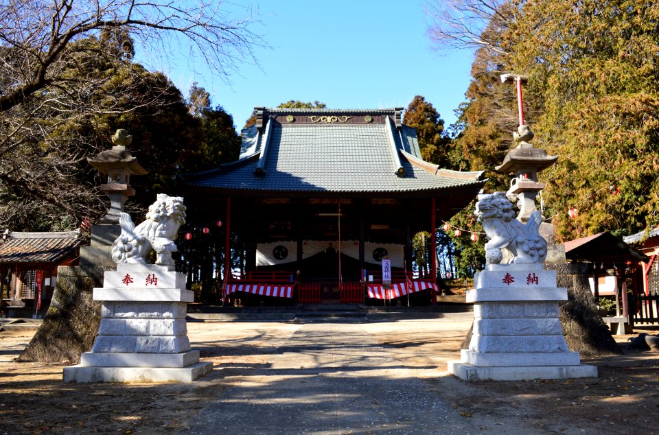 Okuni-jinja (Isesaki) haiden-2