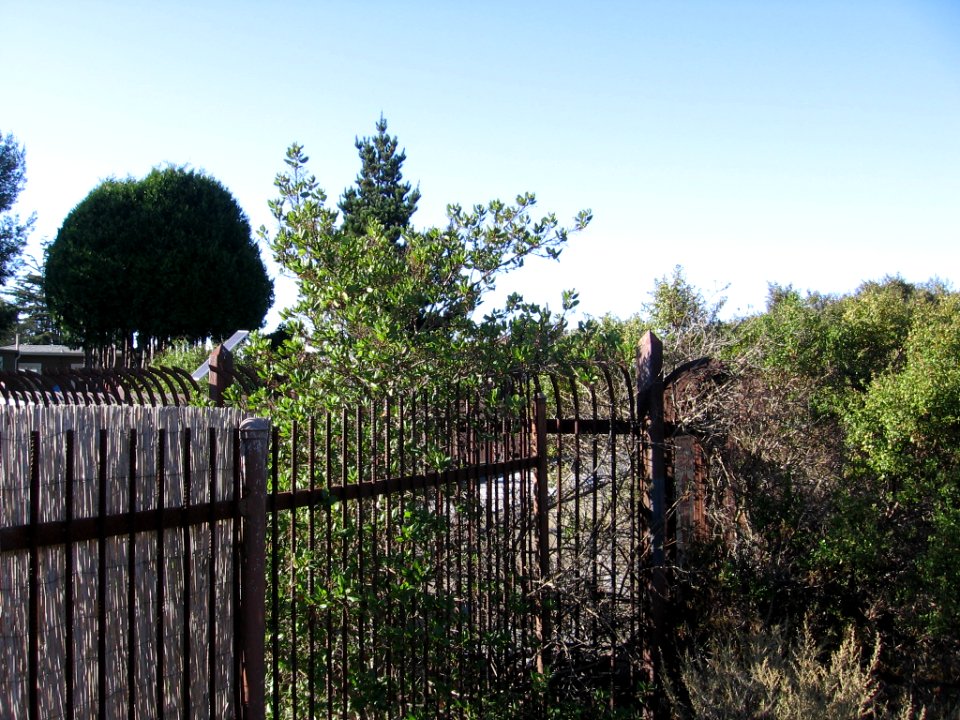 Ohlone Greenway in North Berkeley 2785 01