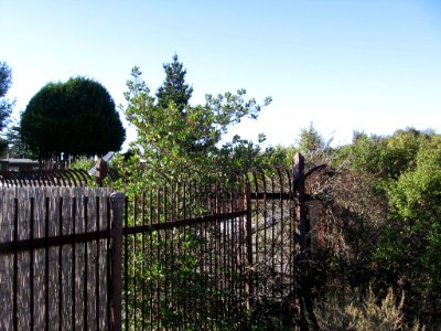 Ohlone Greenway in North Berkeley 2785 01