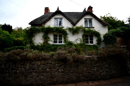 Old Cleeve (2020-09-15) 14