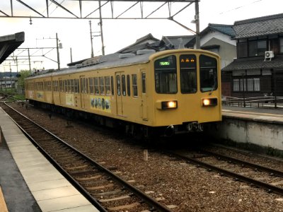 Ohmi 1806 Musa 20190426