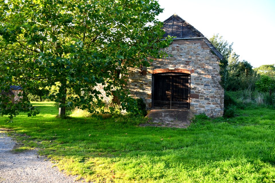 Old Cleeve (2020-09-14) 09
