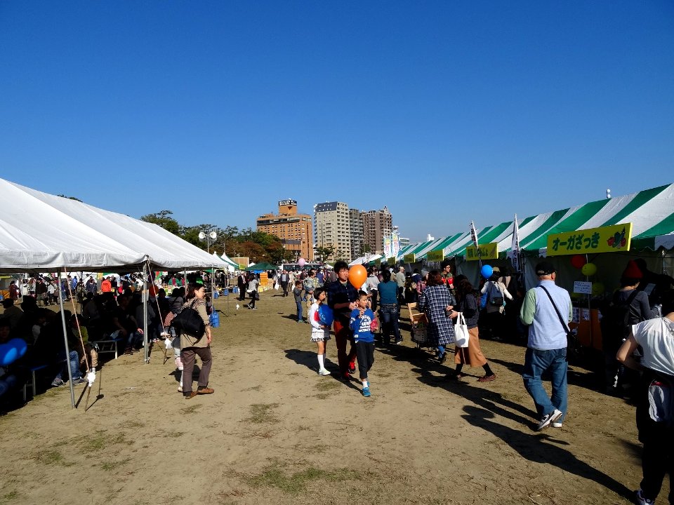 Okazaki-Akino-Shiminmatsuri-1