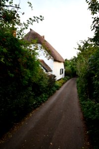 Old Cleeve (2020-09-15) 10