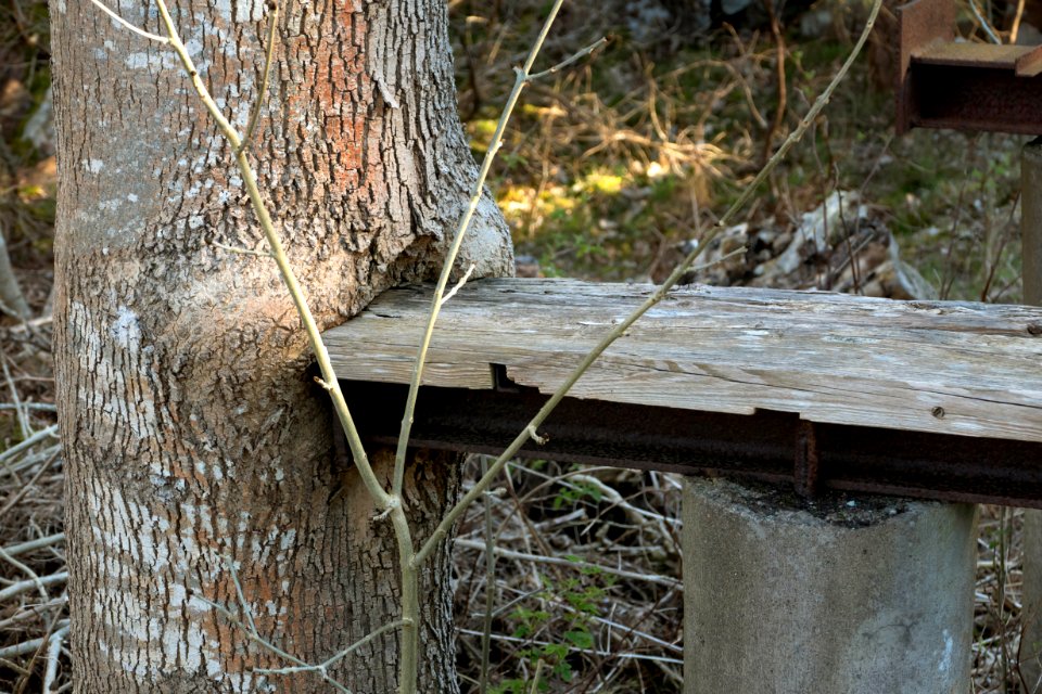 Old car inspection pit at Myrstigen 5