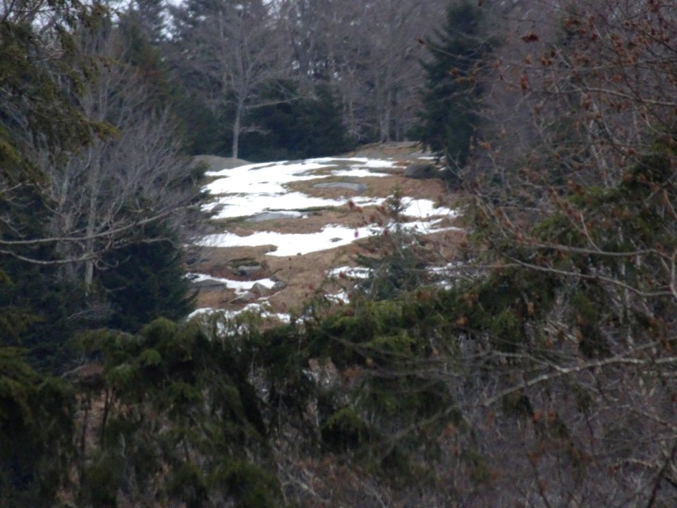 Old Forge March 1, 2018 McCauley Mountain 2
