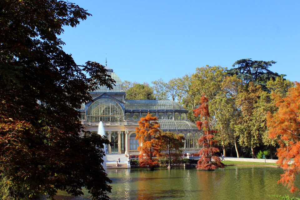 Pond reflection madrid