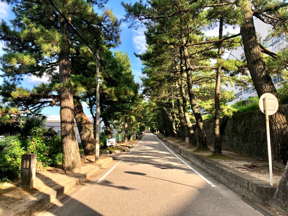 Okazaki-Fujikawacho-1