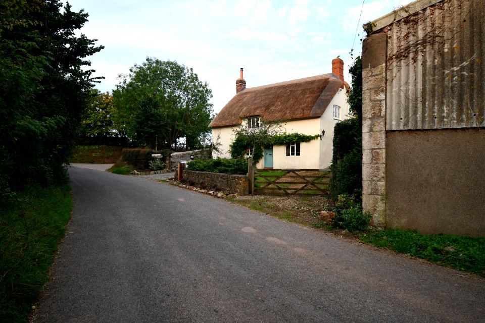 Old Cleeve (2020-09-15) 17