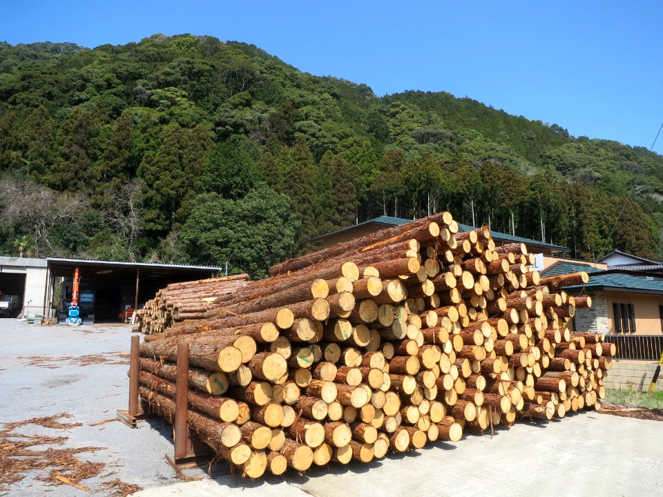 Okazaki-Forest-Association-2