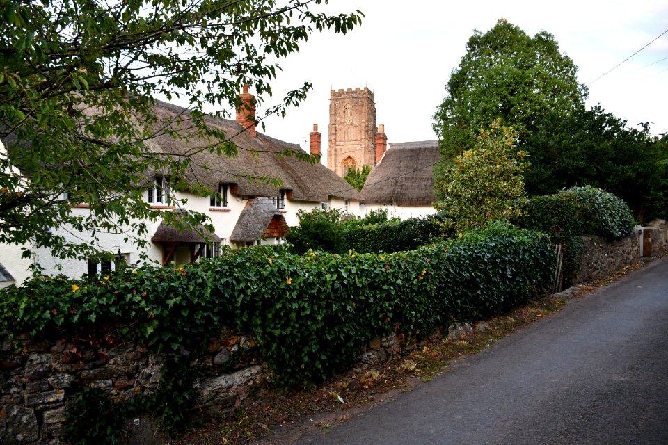 Old Cleeve (2020-09-14) 13