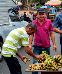 Old man buying bananas 2 photo