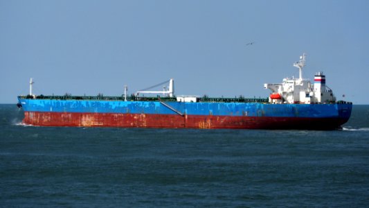 Oklahoma - IMO 9321964, Port of Rotterdam, pic8