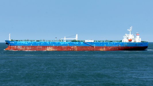 Oklahoma - IMO 9321964, Port of Rotterdam, pic9