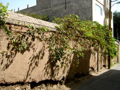 Old House - Daraei 3-2 - Nishapur 09