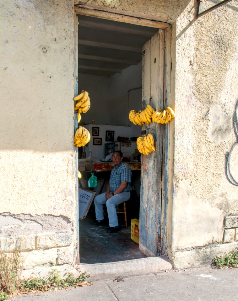 Old House fruit seller from Valencia