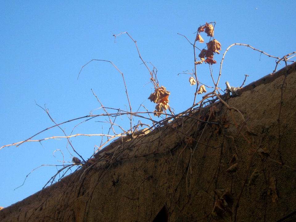 Old house in Haj Mehdi Kuycheh (alley) - Nishapur 20