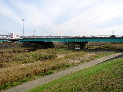 Okazaki-Otogawaohashi-4439
